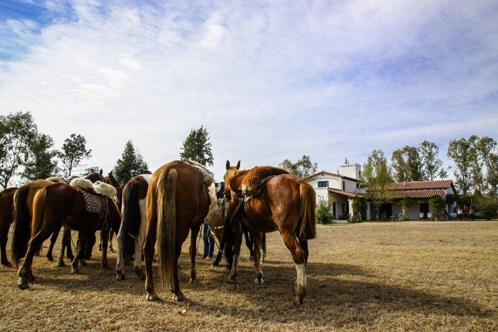 Finca Valentina El Encón Exteriör bild